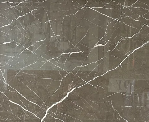 brown stone slab, with a single full slab and bold veining, in a close surface view