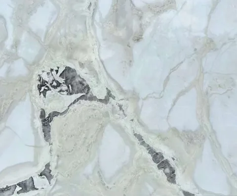 white stone slab, with a single full slab and bold veining, in a close surface view
