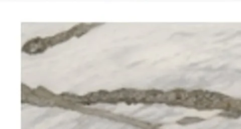 white stone slab, with bold veining, in a close surface view