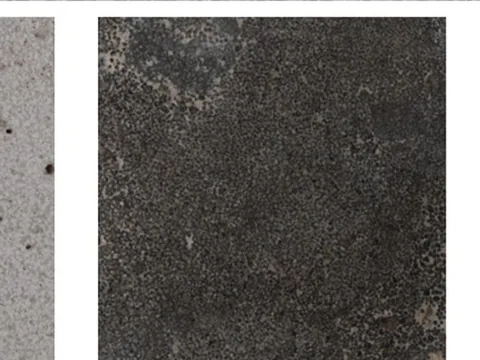 gray stone slab, with a speckled texture, against a pale background