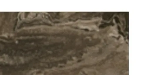 gray stone slab, with fine veining, in a close surface view