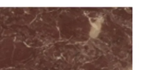 multicolored stone slab, with angular breccia fragments, in a close surface view