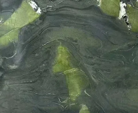 green stone slab, with cloudy mottling, in a close surface view